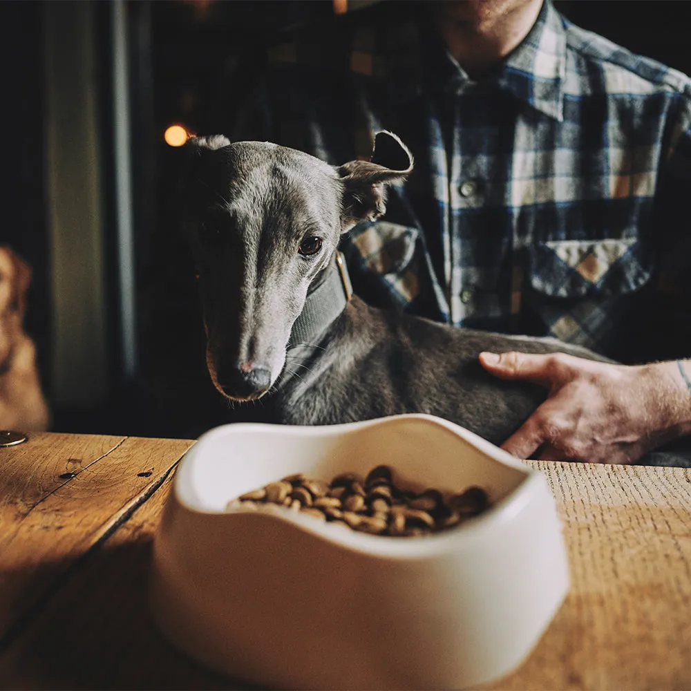Beco Pet Dog Bowl