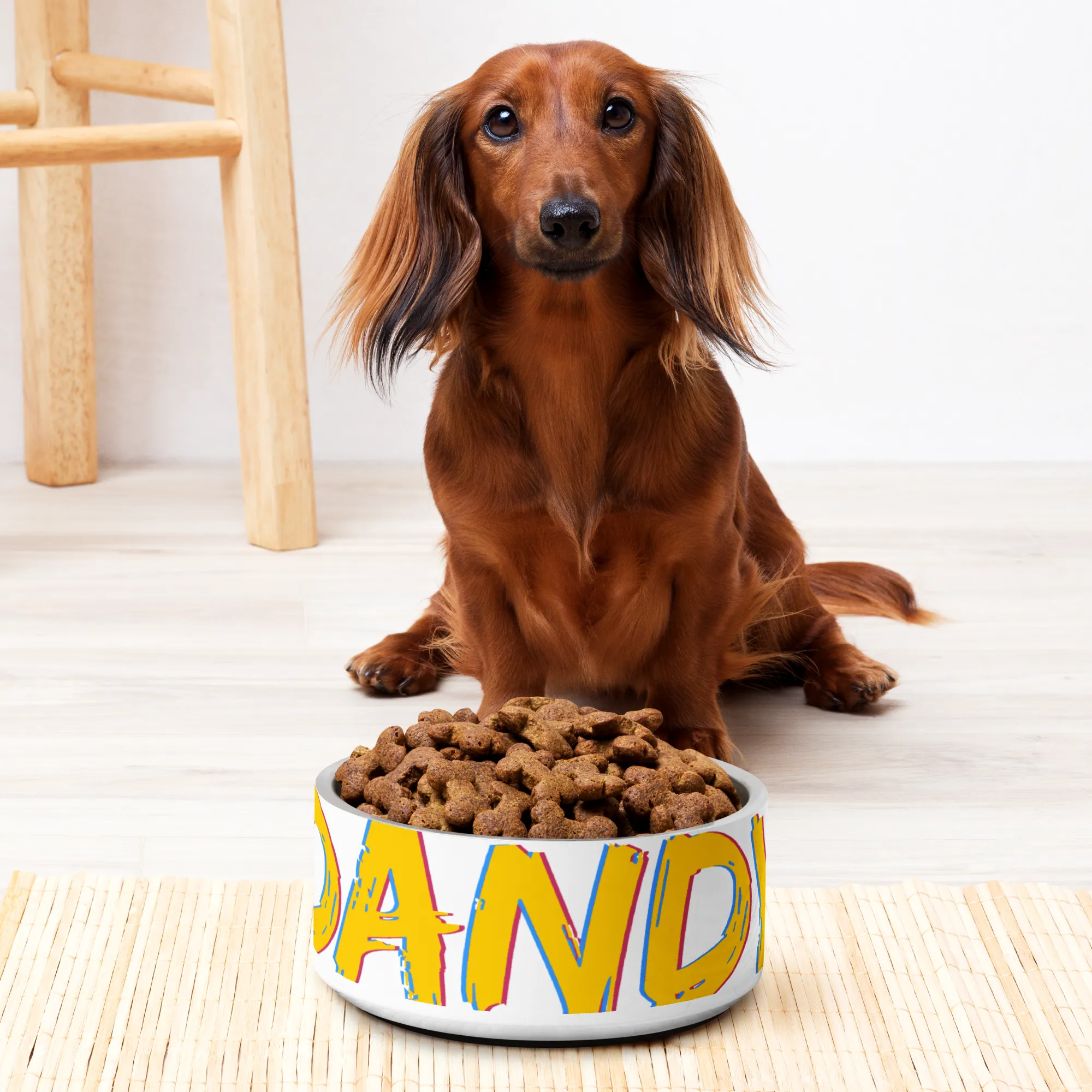 Dandy Pet bowl