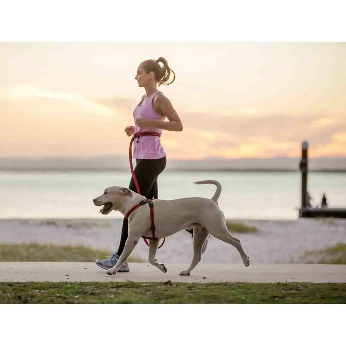EZYDOG Road Runner Dog Leash