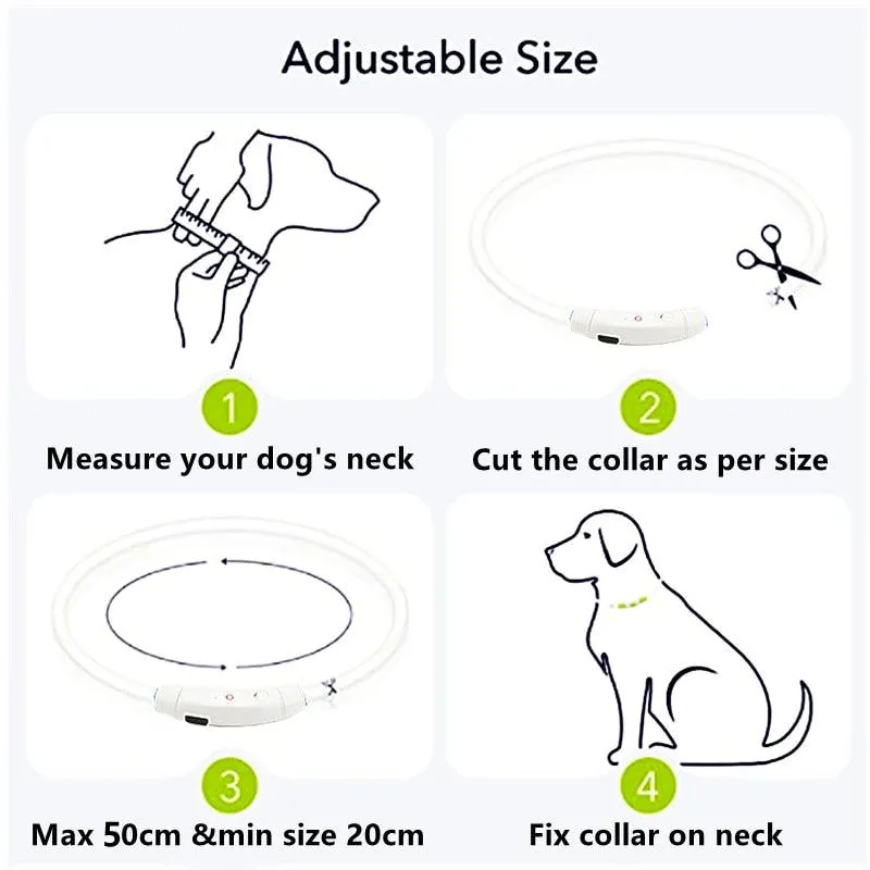 Glowing Dog Collar