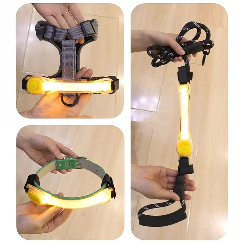 LED Safety Collar & Leash for Dogs - Waterproof with Flashing Lights