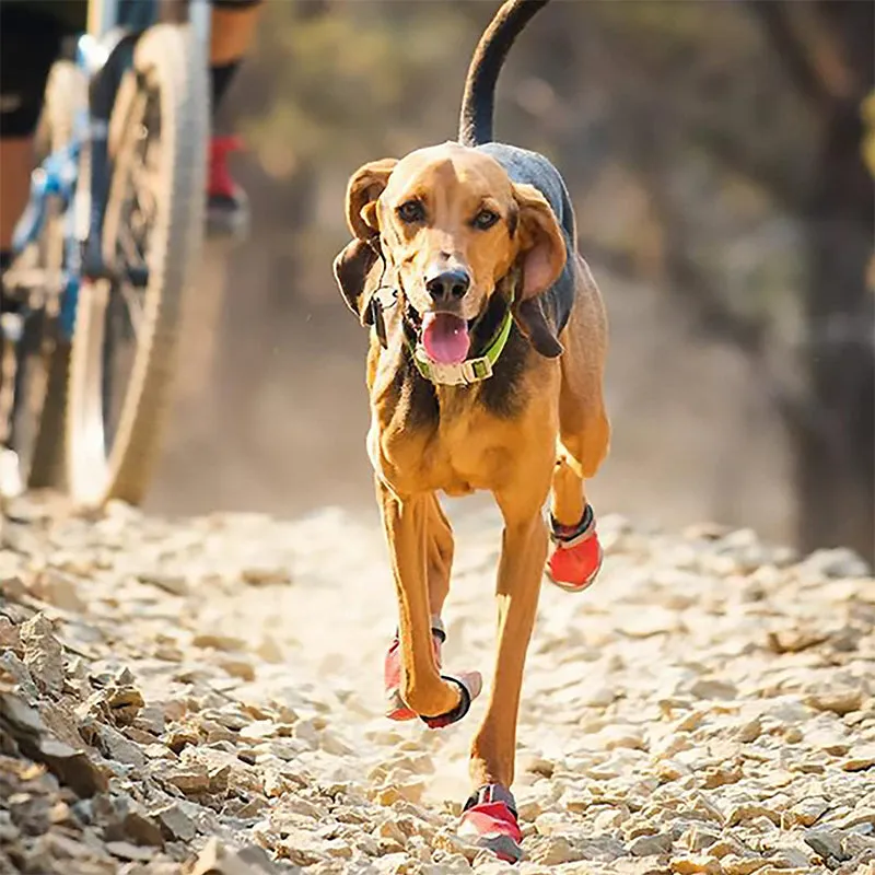 Ruffwear Top Rope Collar for Dogs