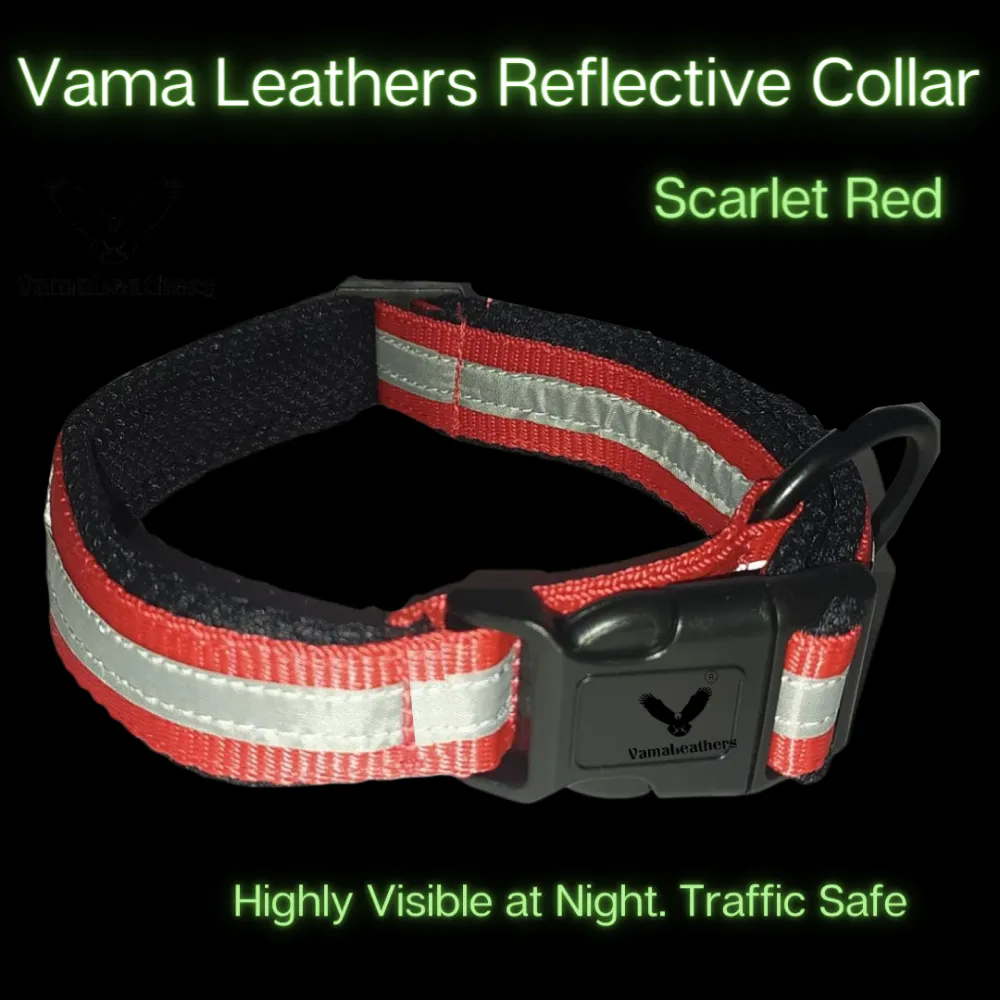 Vama Leathers Night Visible Reflective All Weather Everyday Collar for Dogs (Scarlet Red)